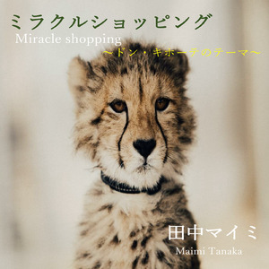 ミラクルショッピング ～ドン・キホーテのテーマ～