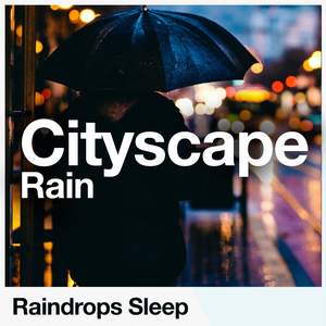 Traffic Rainfall