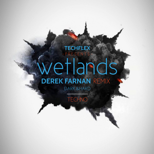 Wetlands (Derek Farnan Remix)