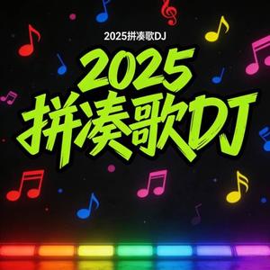 拼凑DJ（2025拼凑版）