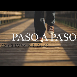Paso a Paso