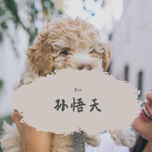 月亮可以代表我的心