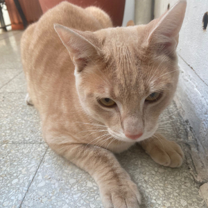 L'amore si sente secondome