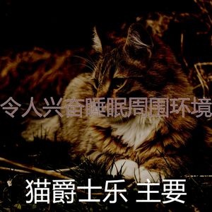 温和睡猫梦想