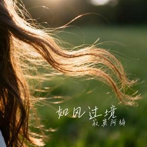 如风过境 (Cover 哎哟蔚蔚)