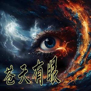 苍天有眼 (DJ版)