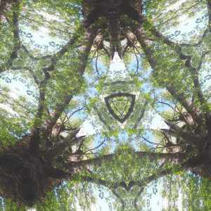 Nothing like it in the world