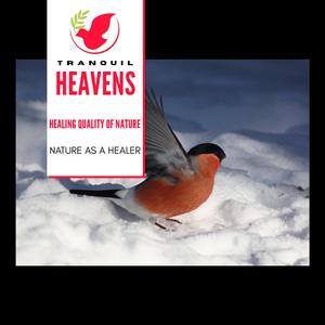 A Recipe for a Storm with Thunder