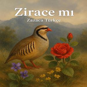 Zıracemı