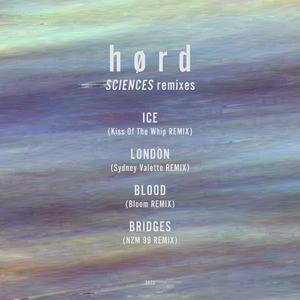 Ice (Kiss Of The Whip Remix)