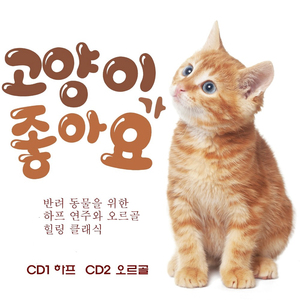 Schumann : Kinderszenen Op.15 - VII. Traumerei (슈만 : 어린이의 정경 작품번호 15 - 7번. 트로이메라이)