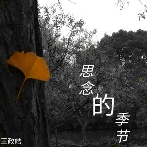 思念的季节