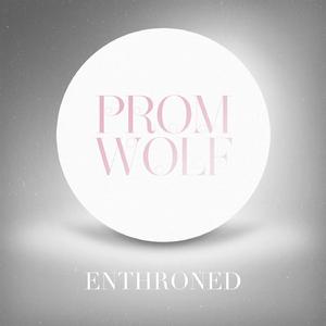 Enthroned (Dubmood Remix) (Enthroned (Dubmood Remix))