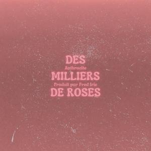des milliers de roses