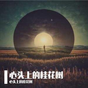 闲适坦率