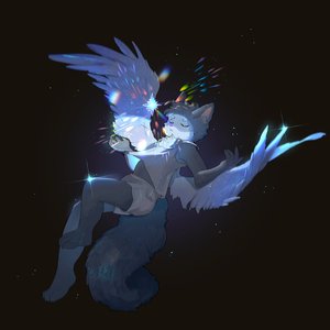 永恒的宇宙