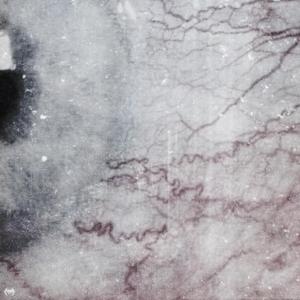 Rambo (feat. anarchychild)