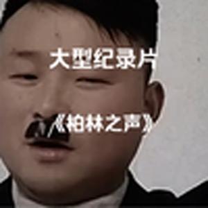 大型纪录片《柏林之声》