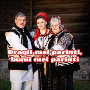 Imi port tulpanu' faloasa