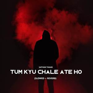 Tum Kyu Chale Aate Ho