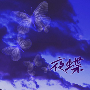 夜蝶