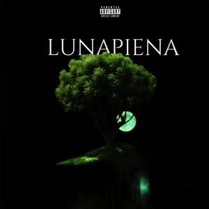 Luna piena
