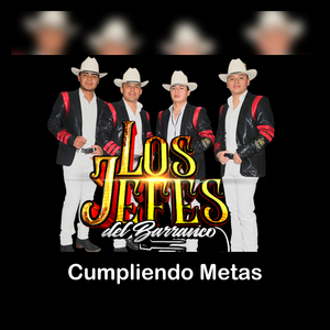 Cumpliendo Metas