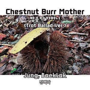 Chestnut Burr Mother 밤송이 어머니 (Trot Ballad Ver.)