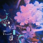 焰火花园 (穿过星辰和你相见)DJ弹鼓降速版 - 庄东茹（豆芽鱼） 专辑封面