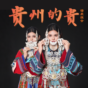贵州的贵（伴奏）