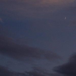 相距五公分（demo）