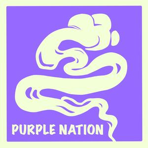 Purple Nation
