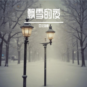 飘雪的夜