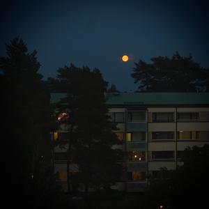 All I Want (one take)