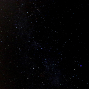 凤凰花开的路口