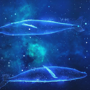 最后的阳光华尔兹最终版