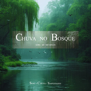 Barulho de Chuva No Rio e Canto dos Pássaros, Pt.6
