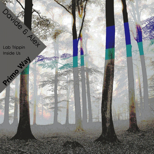 Inside Us (Original Mix)