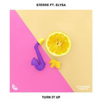 Turn It Up (feat. Elysa)