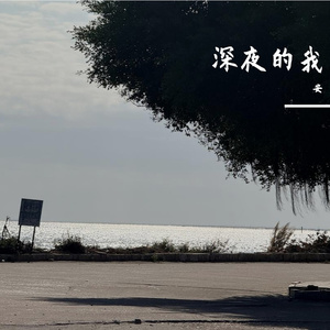 借你手触摸永恒