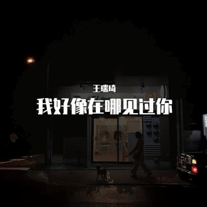 我好像在哪见过你-王瑞琦