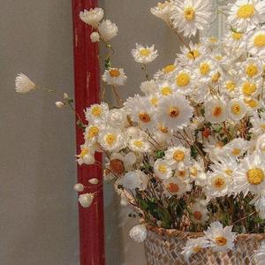 今天你要嫁给我