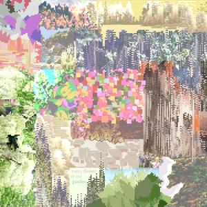 through rooms of living walls