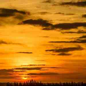 悠悠夏日长 (静心曲)