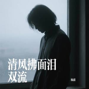 清风拂面泪双流