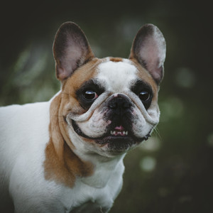 Drenched Communication