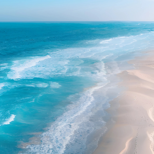 你在我掌心写满告别