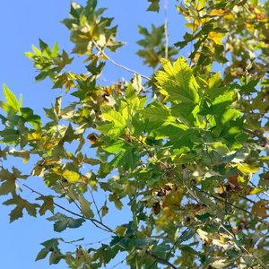 喝完这杯时间的酒