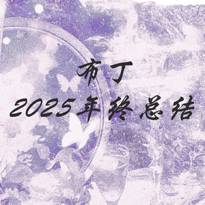 布丁2025年终总结