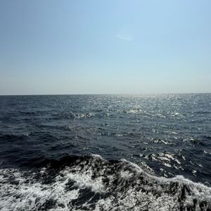 肖生克的救赎永不落幕